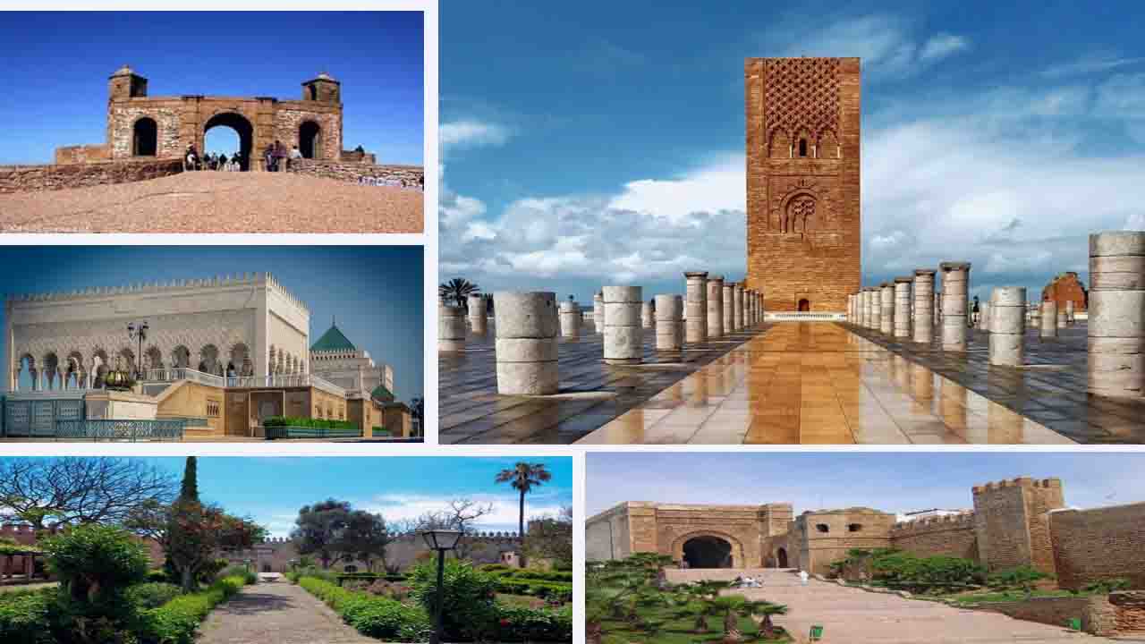 تـقـريــــر شواطـئ نــظـيـفـة, image size:1280x720